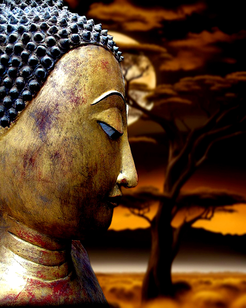 #thaibuddha #buddha #buddhastatue #antiquebuddha 3antiquebuddhas