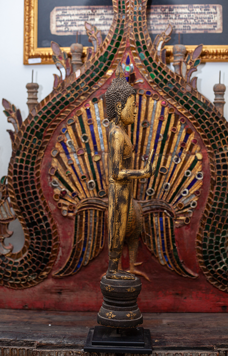 #lannabuddha #thaibuddha #buddha