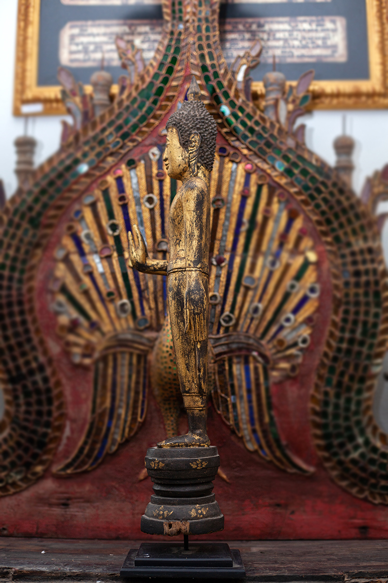 #lannabuddha #thaibuddha #buddha