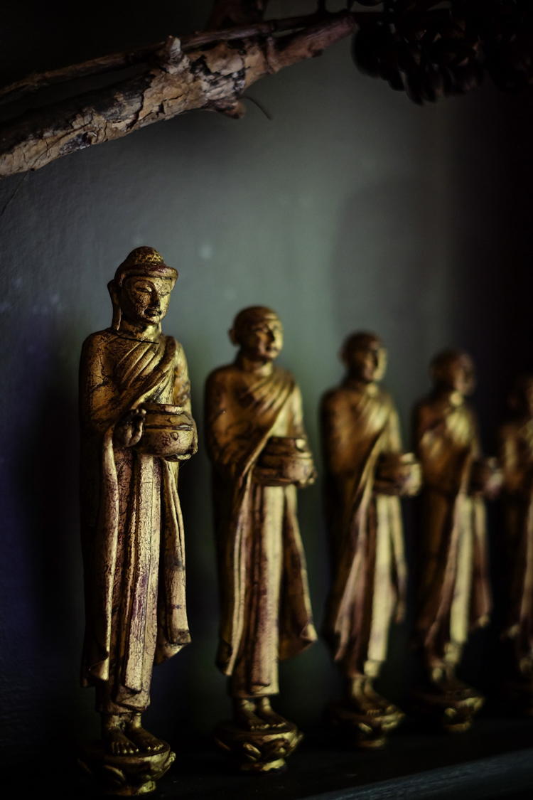 Buddhist Monk , Burmese Monk , Thai Monk , Wood monks