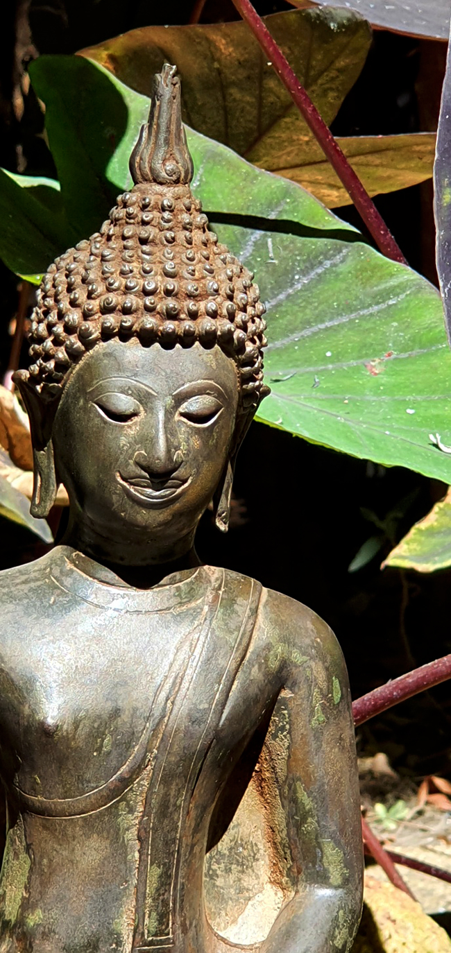 #thaibuddha #buddha #buddhas #antiquebuddhas #antiquebuddha