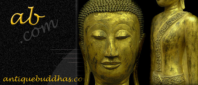 Extremely Rare 19C Wood Standing Laos Buddha #AL.922