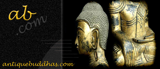 Extremely Rare 19C Wood Sitting Shan Buddha #AL.944