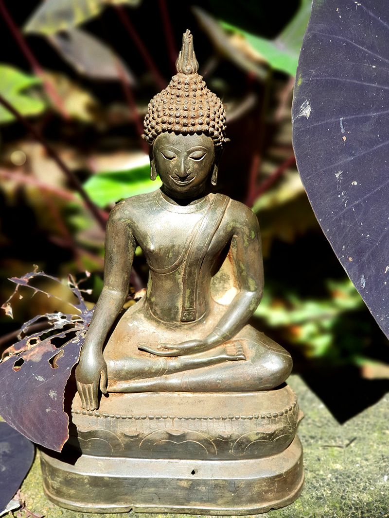 #thaibuddha #buddha #buddhas #antiquebuddhas #antiquebuddha