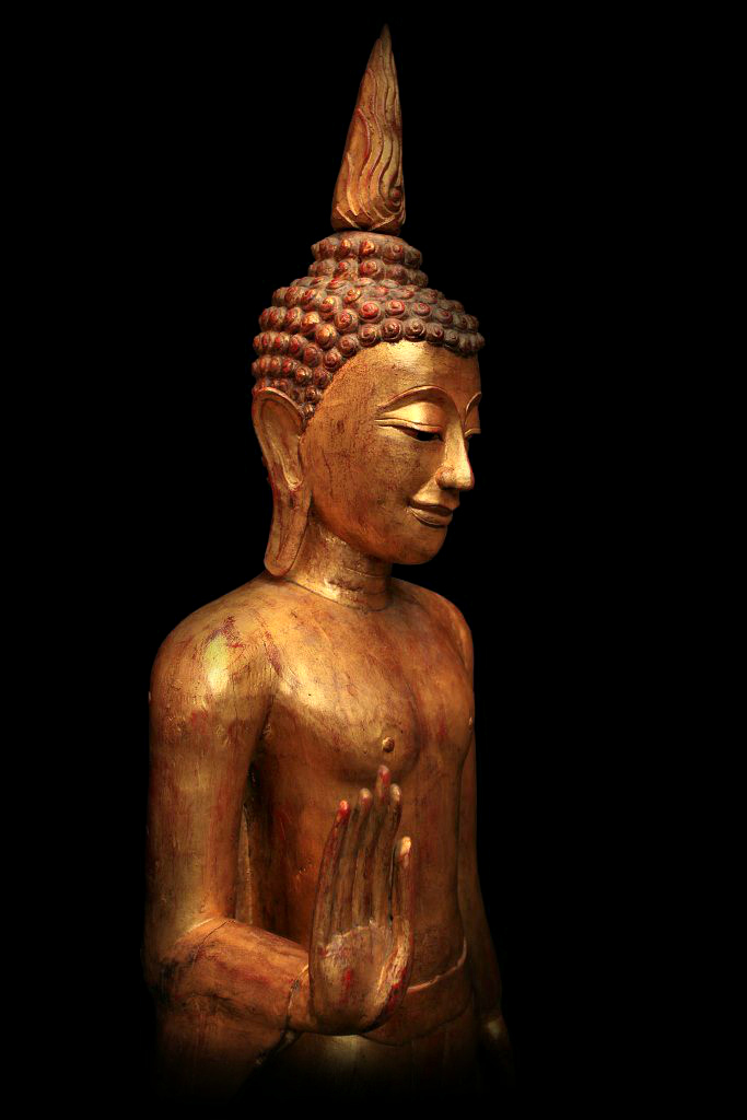 #thaibuddha #rattanakosinbuddha #lannabuddha #chiangsangbuddha #woodbuddha #buddha #buddhas #buddhastatue #statue #buddhaart #antiquebuddha #antiquebuddhas #antique