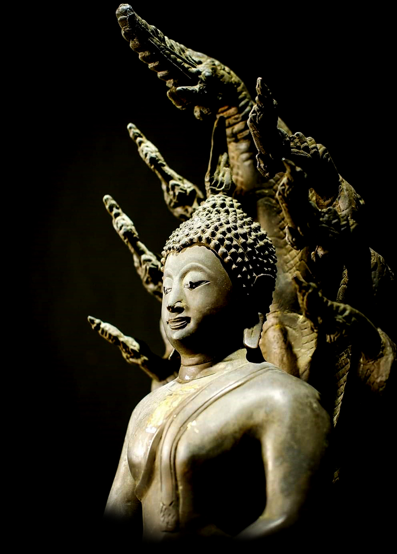 #nagabuddha #thaibuddha #buddha #buddhastatue #antiquebuddha #antiquebuddhas