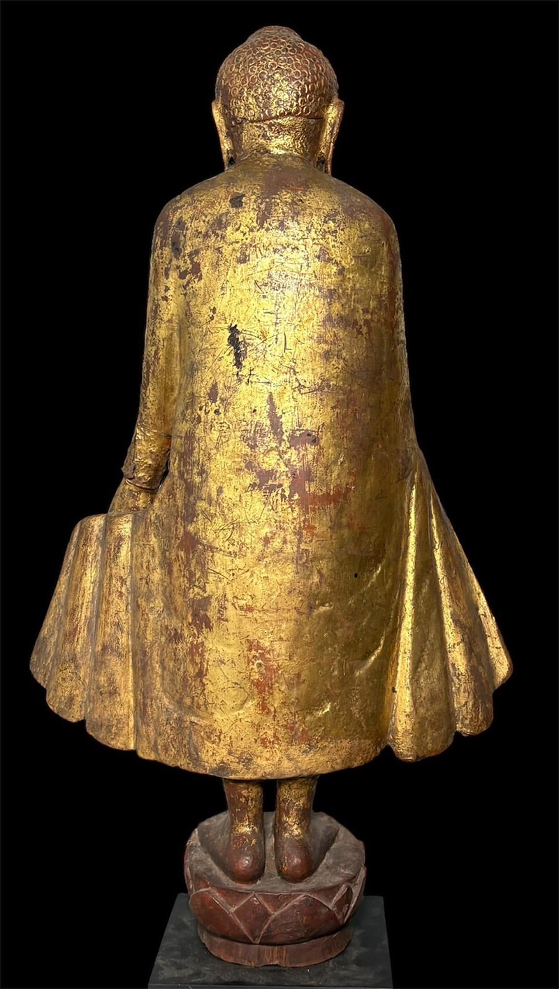 #woodburmabuddhahead #buddhahead #troso #buddhatroso #antiquebuddhas #antiquebuddha #buddhastatue 