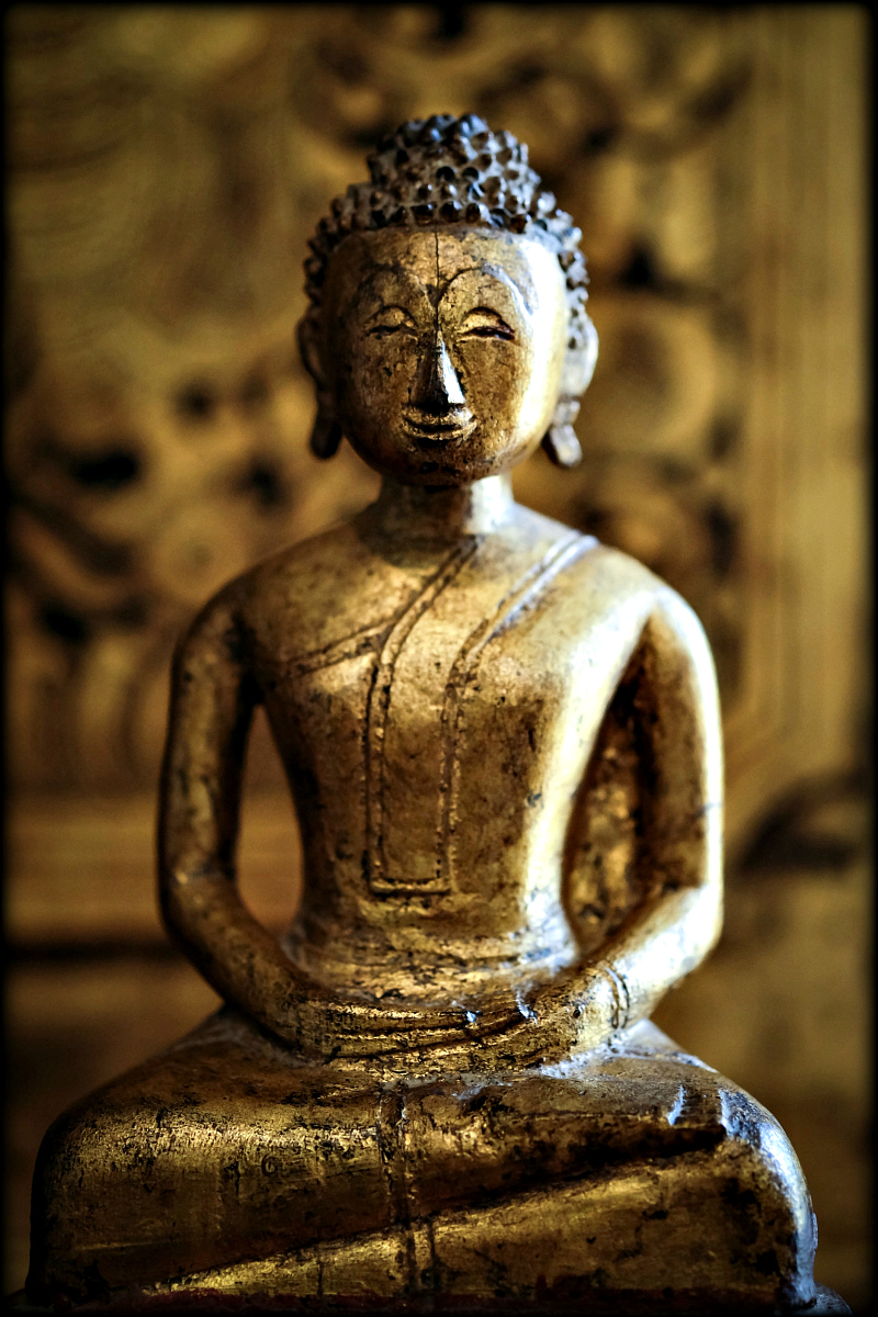 #woodthaibuddha #thaibuddha #lannabuddha #buddha #buddhas 3buddhastatue #antiquebuddha #antiquebuddhas #buddhaforsale