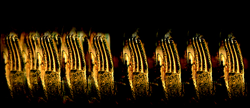 wood thai Buddha Wood Thai Buddha