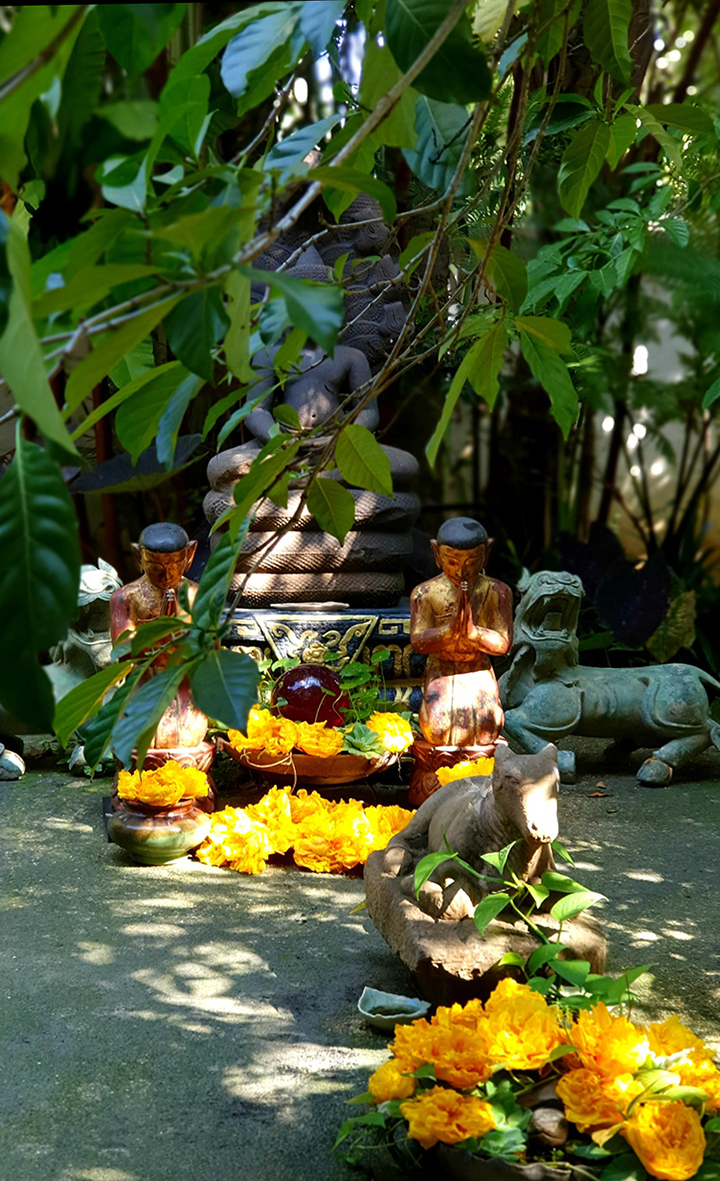 Buddhist Monk , Burmese Monk , Thai Monk , Wood monks
