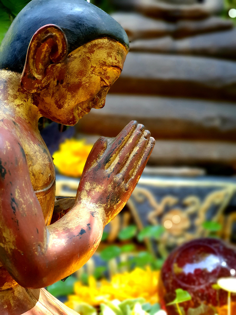 Buddhist Monk , Burmese Monk , Thai Monk , Wood monks