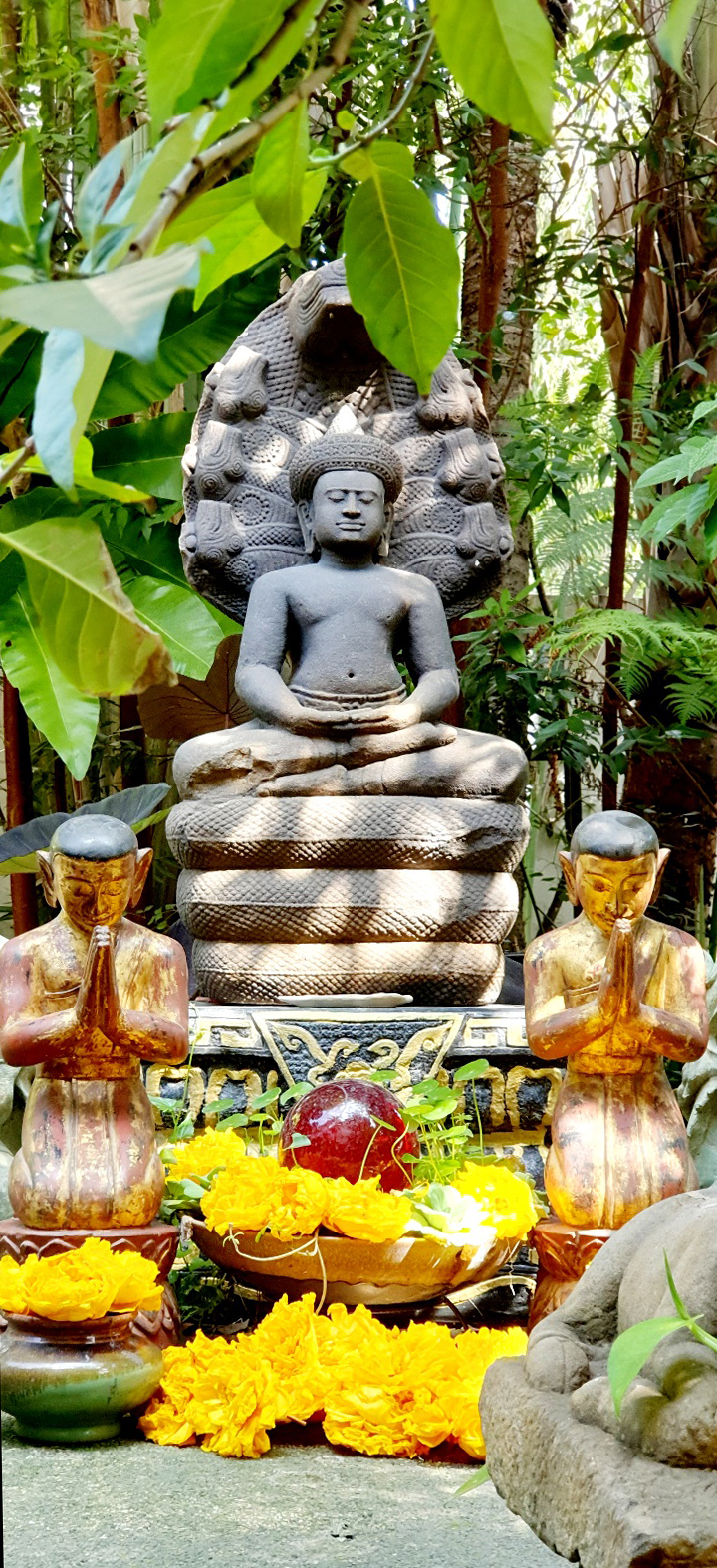 Buddhist Monk , Burmese Monk , Thai Monk , Wood monks