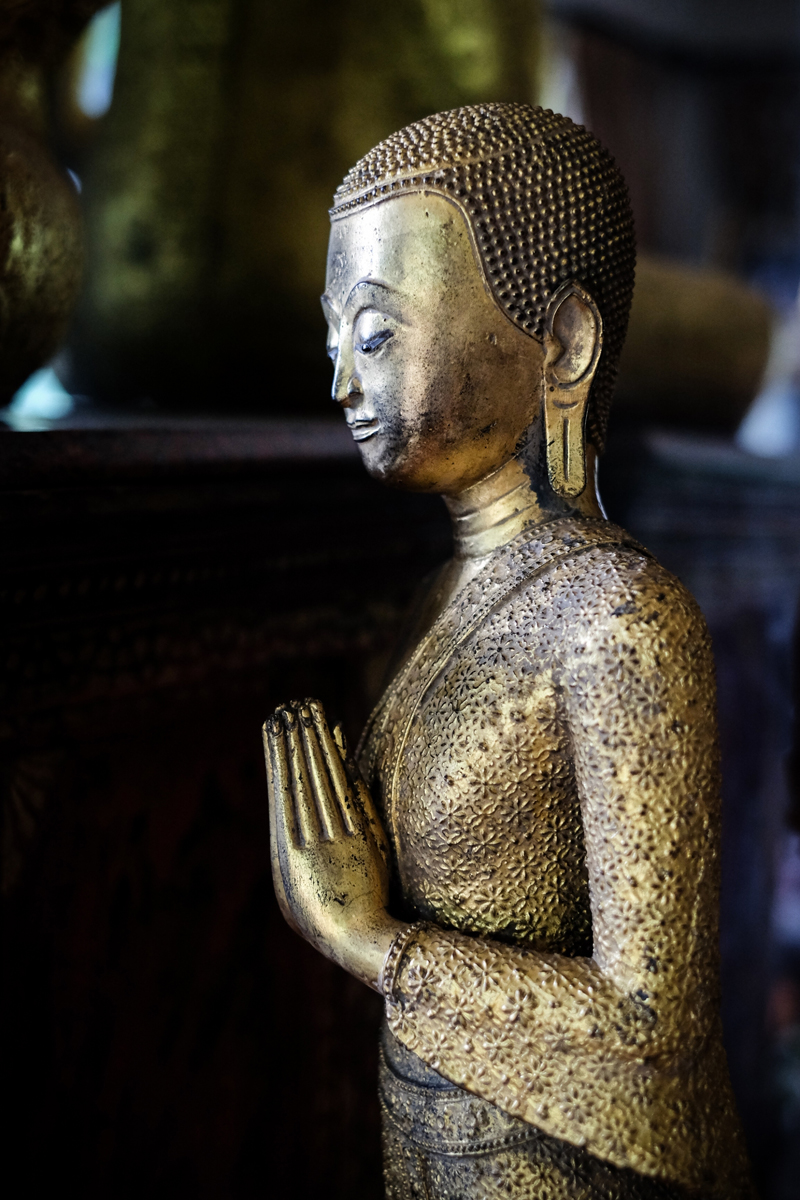 Buddhist Monk , Burmese Monk , Thai Monk , Wood monks
