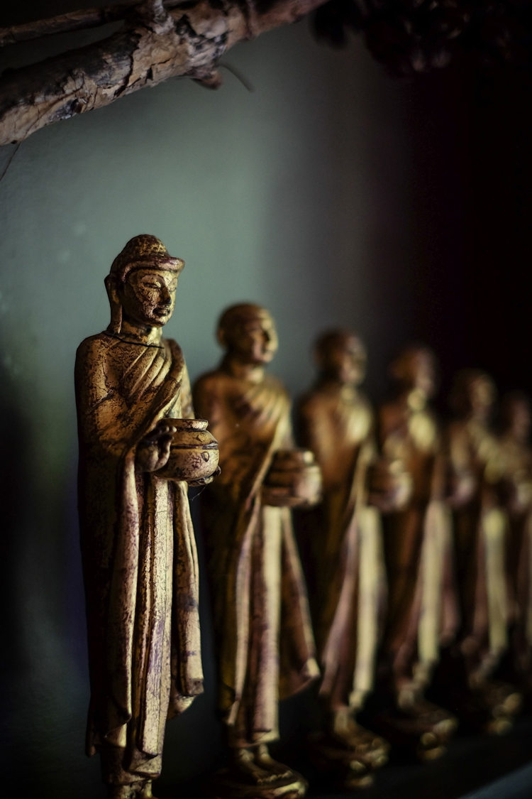 Buddhist Monk , Burmese Monk , Thai Monk , Wood monks