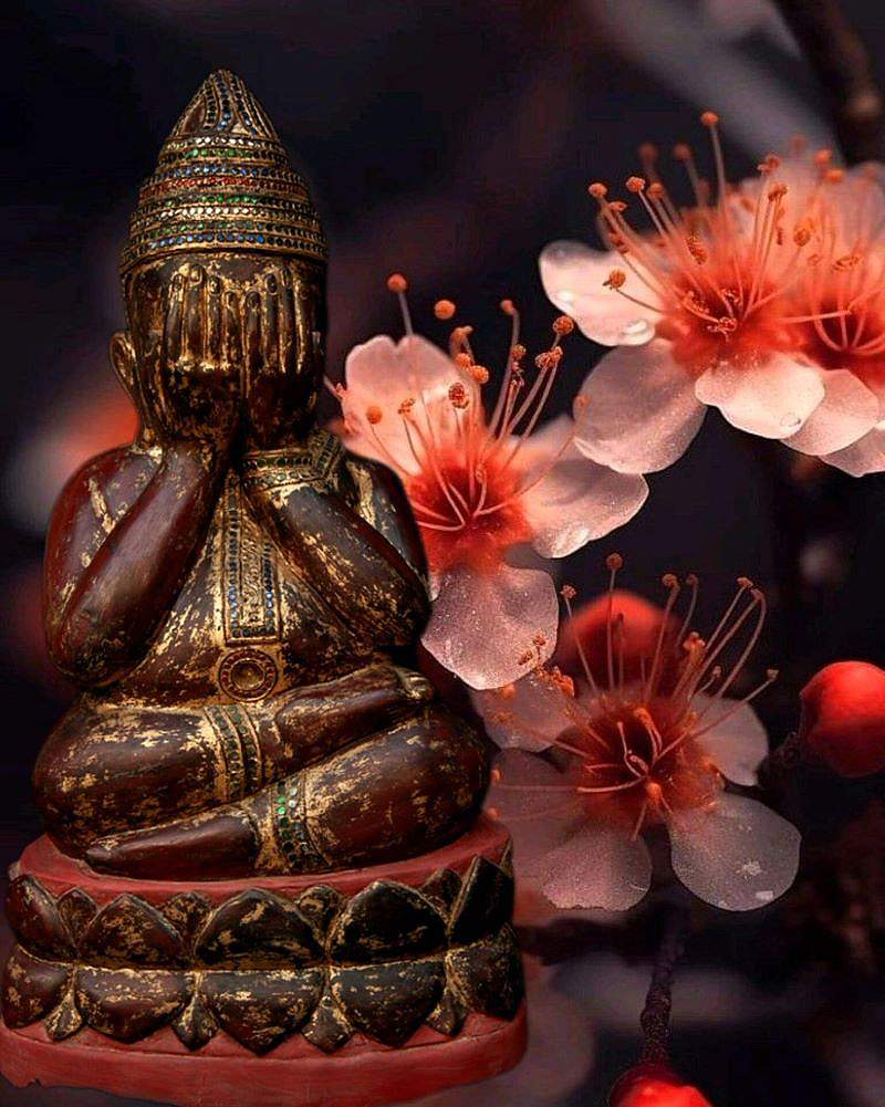 #buddha #thaibuddha #prapieta #antiquebuddhas #antiquebuddha